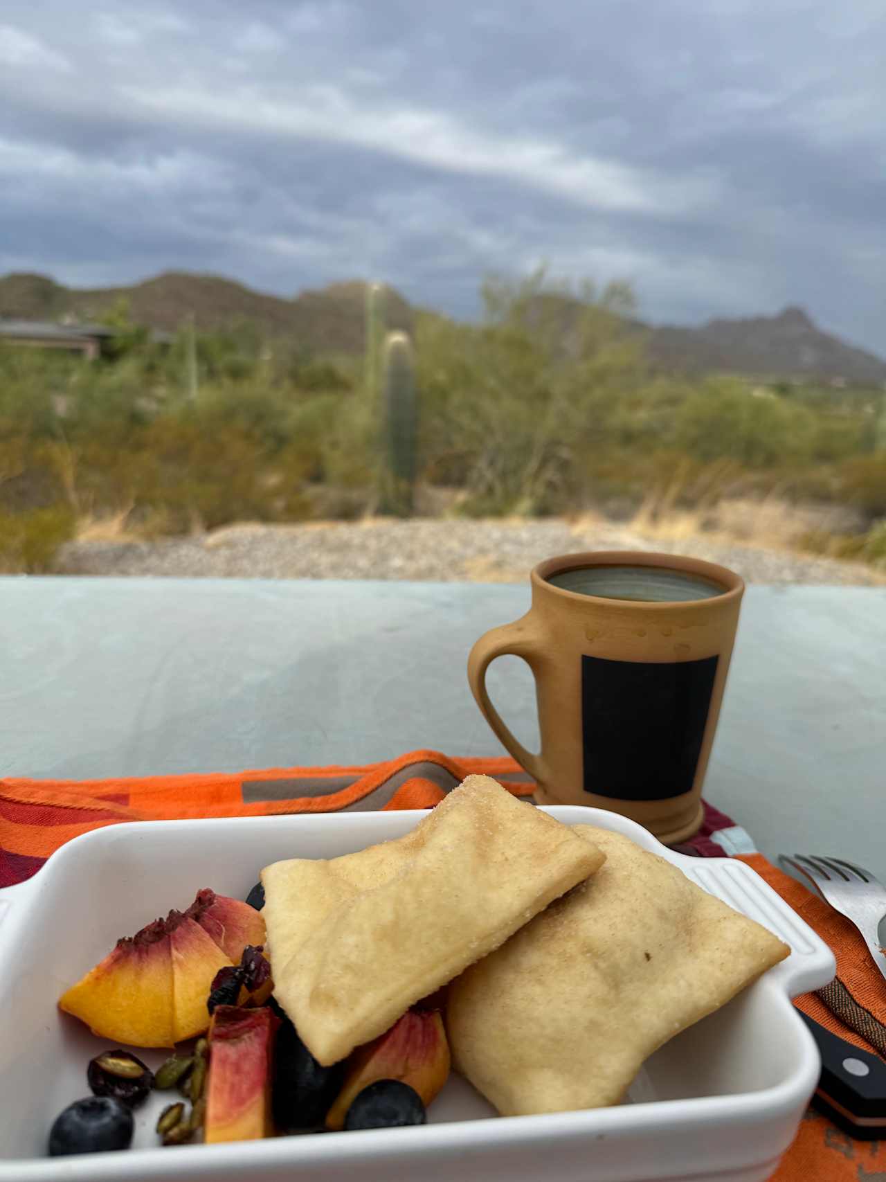 Saguaro View