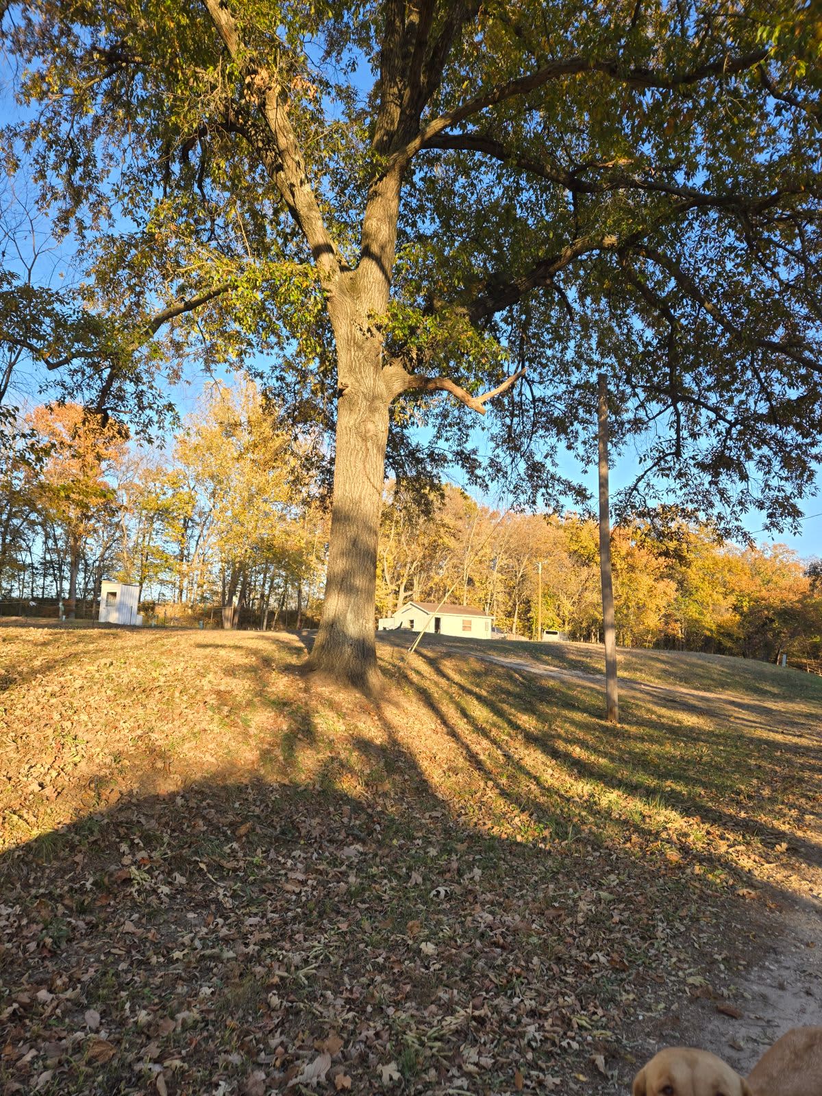 Peno Creek Campground