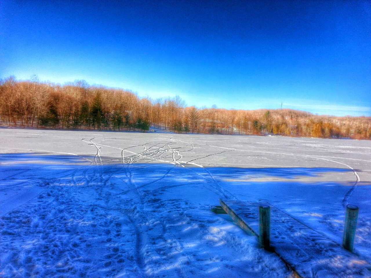 Snowy & cozy@Hanley Lake: dogs too!