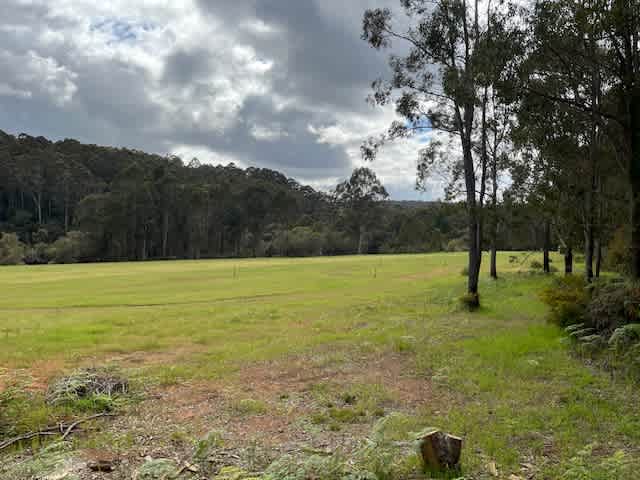 Mountford Wines & Tangletoe Cider