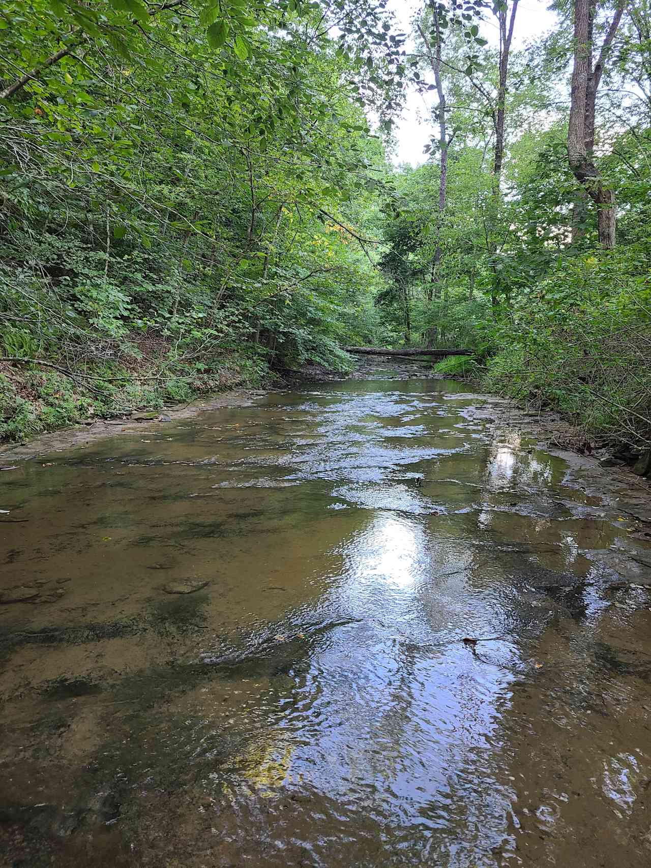 Cottage & Camping At Lost Run