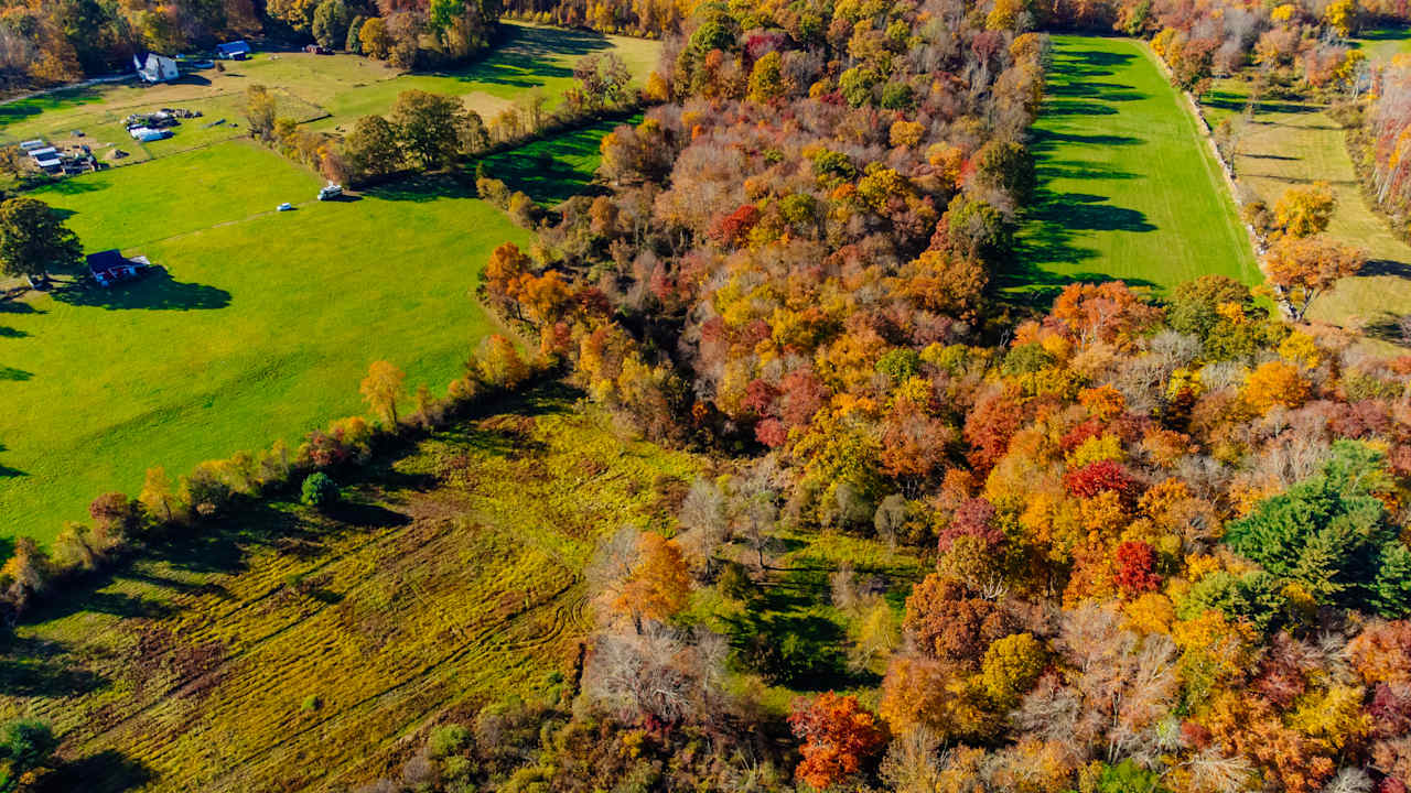 The farm from above.