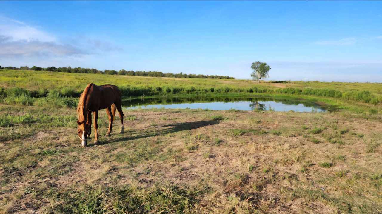 Morrison Farm and Stables