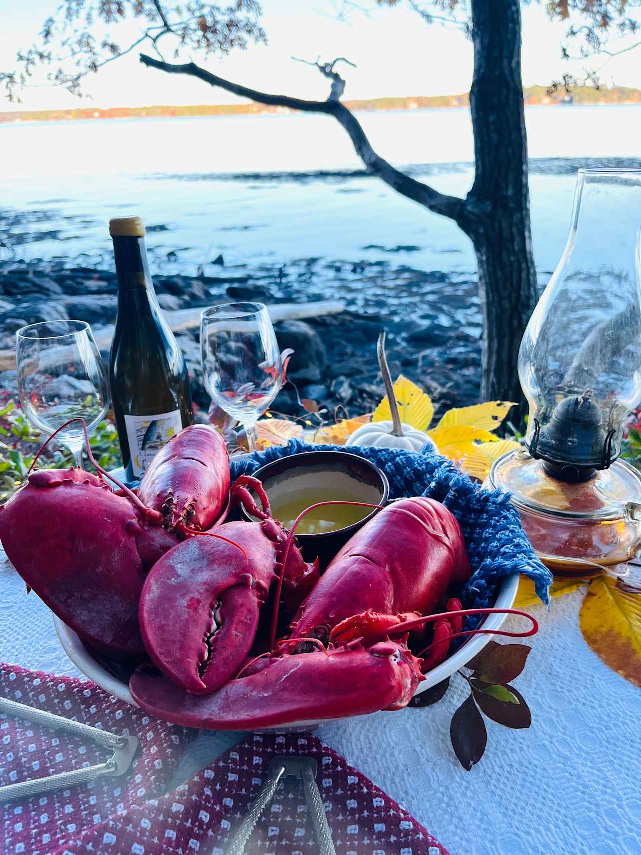 Your private Lobster dinner experience awaits 🦞