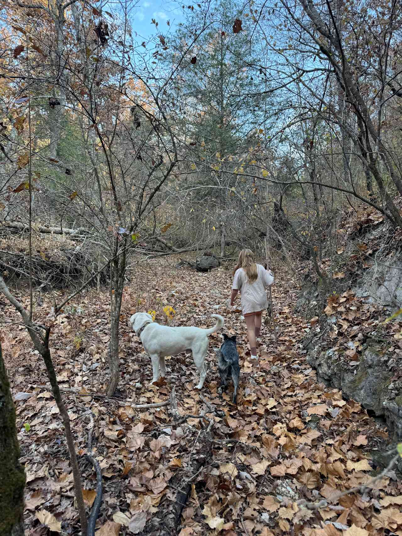 Creekside Camping at Rocky Acres