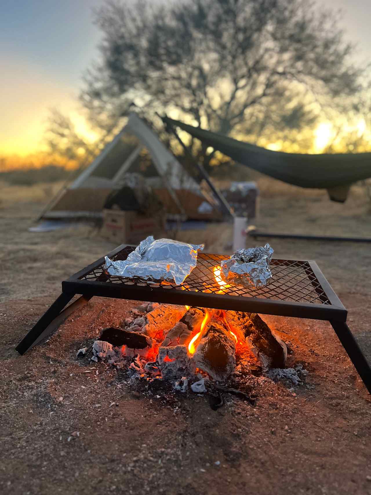 Cactus Forest Campground Boondock