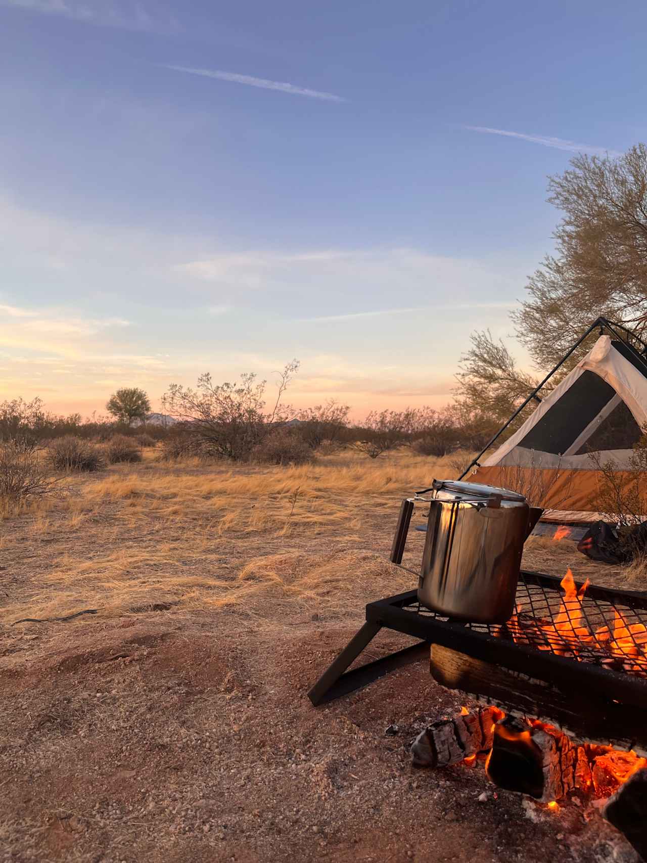 Cactus Forest Campground Boondock