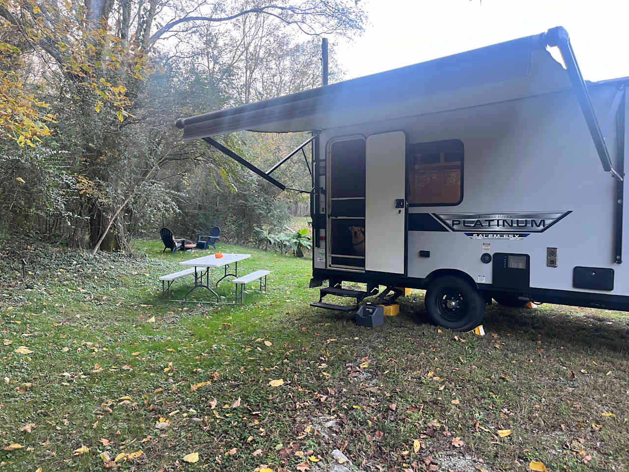 Wooded Nashville Nook