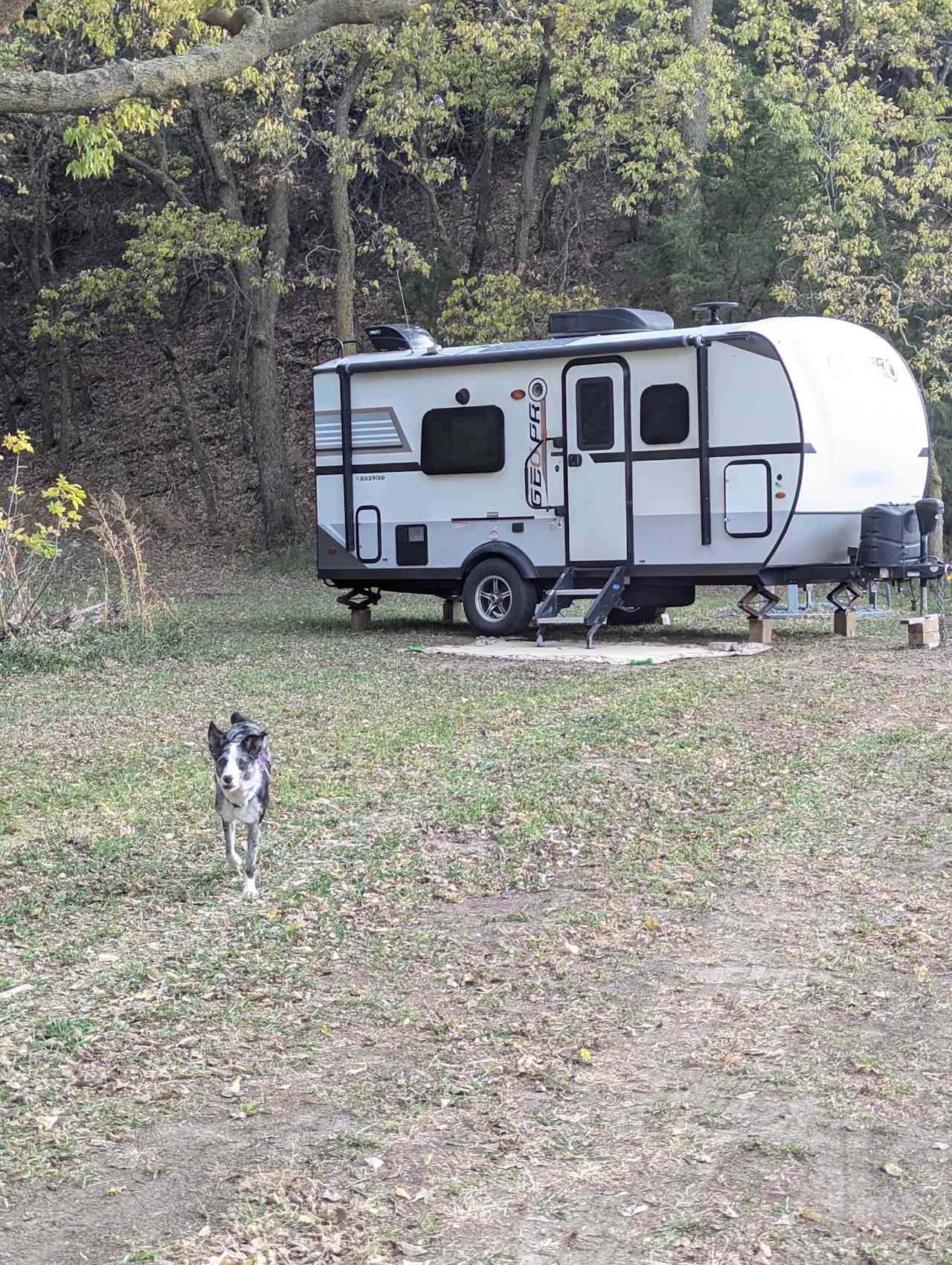 Potters Pasture