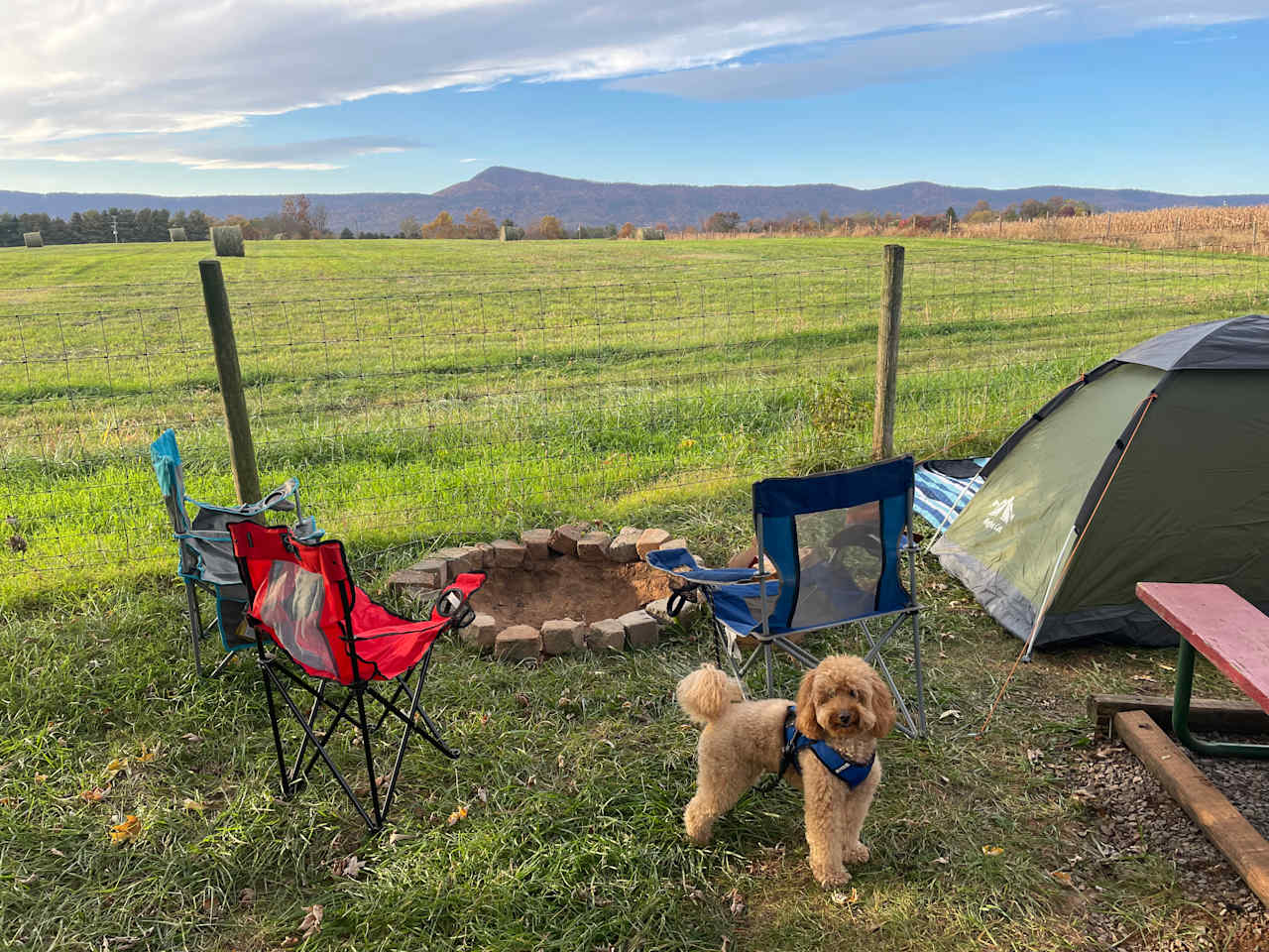 Spacious Skies Shenandoah Views Campground