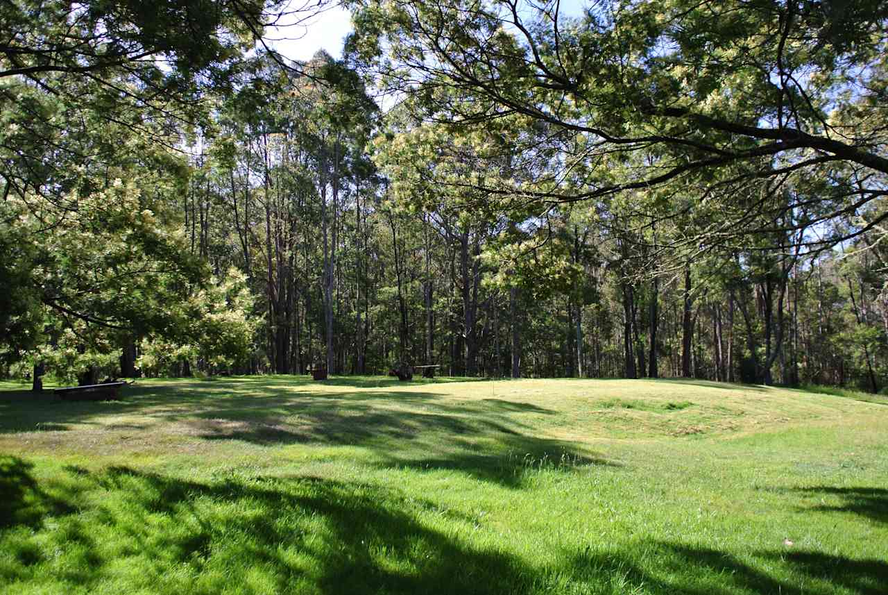 The Airstrip at Metro Meadow