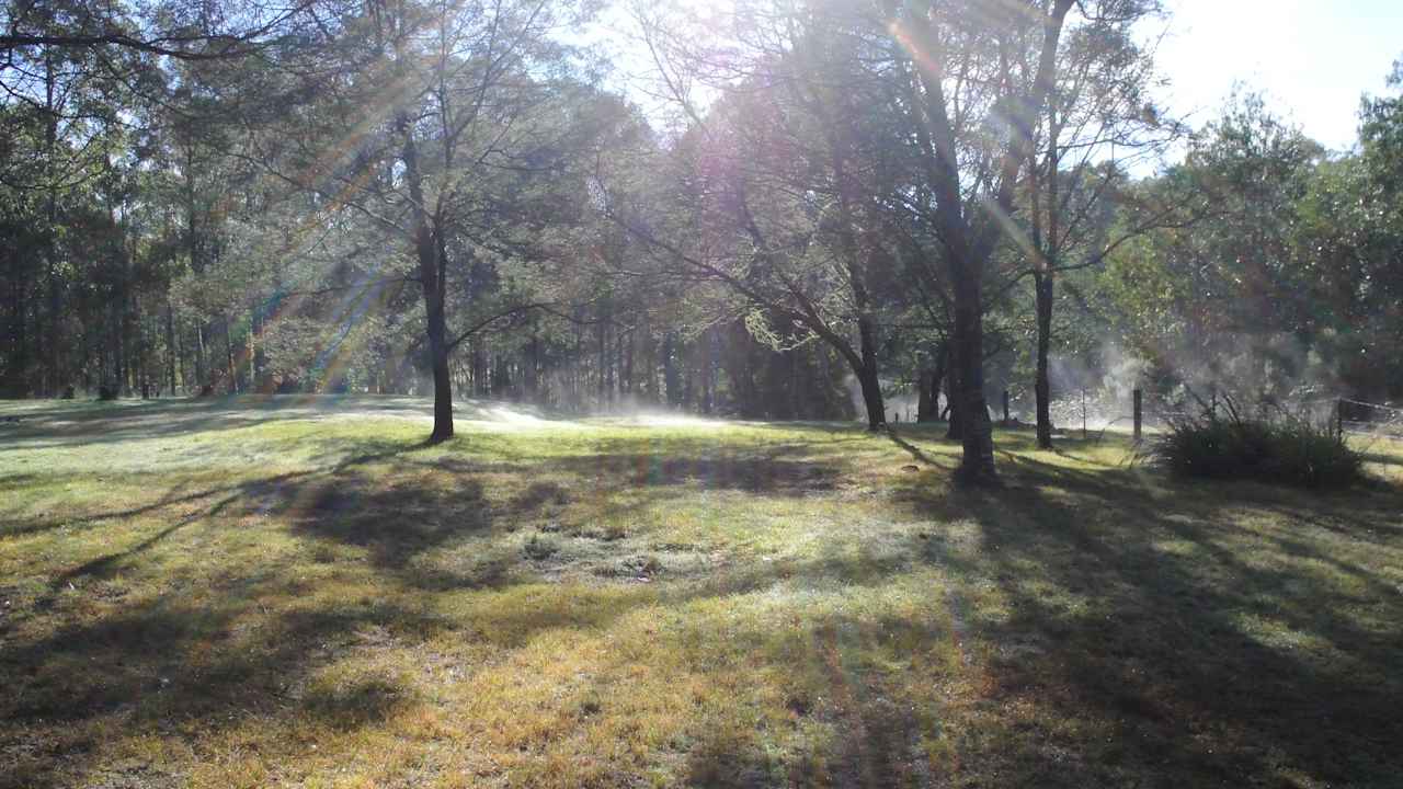 The Airstrip at Metro Meadow