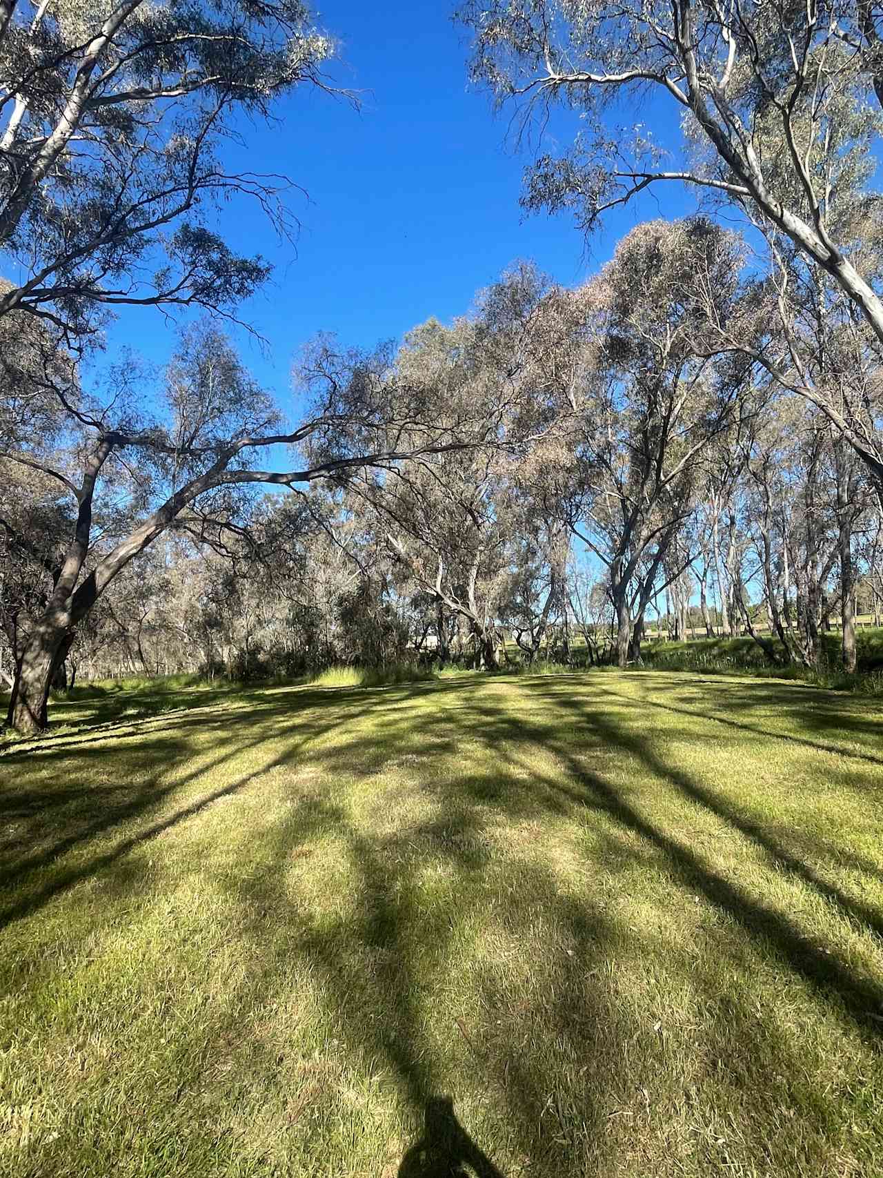 Axedale Farm Stay - Creekside