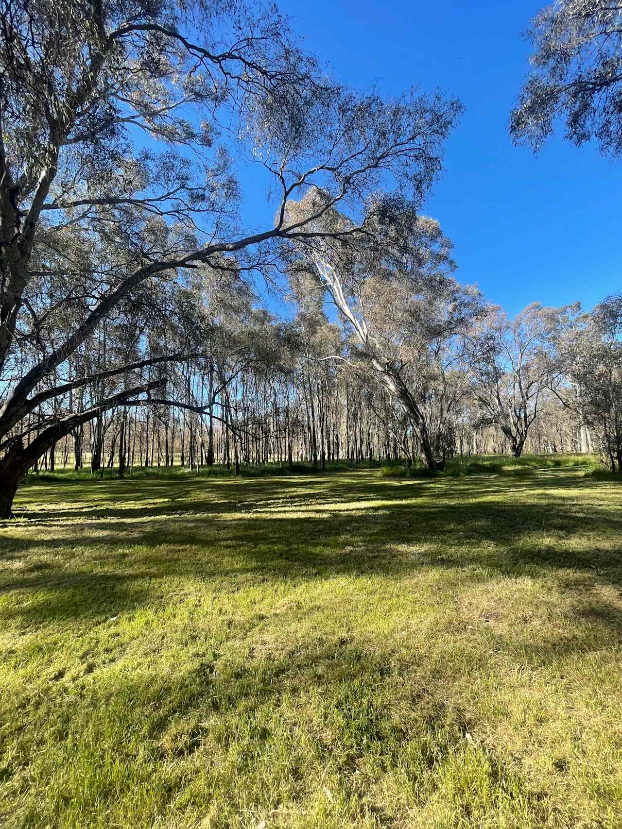 Axedale Farm Stay - Creekside