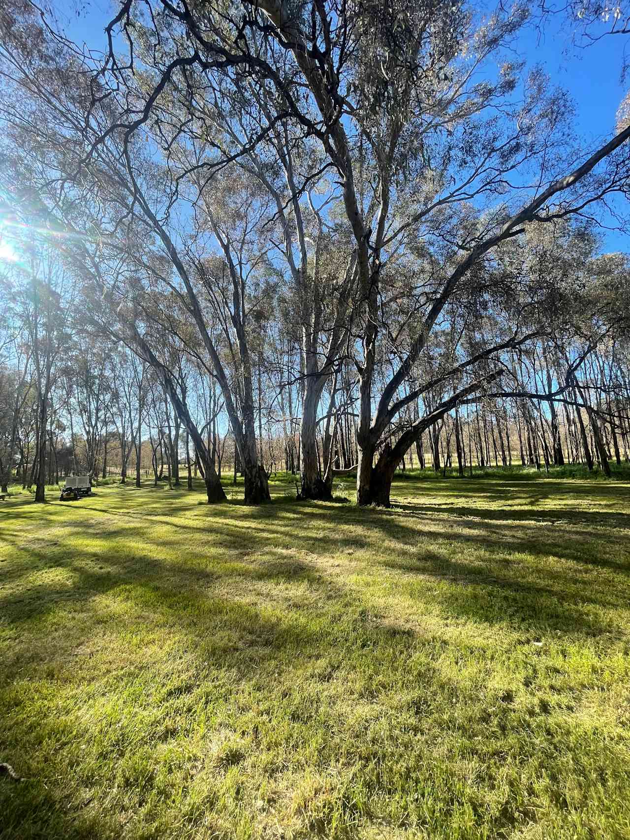 Axedale Farm Stay - Creekside