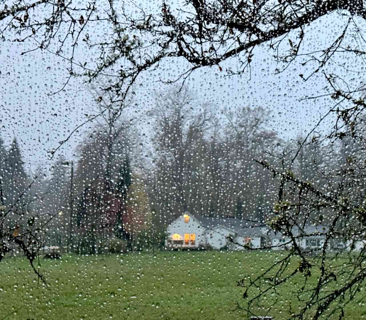 The view from our camping spot on a very rainy night. It was perfect! 