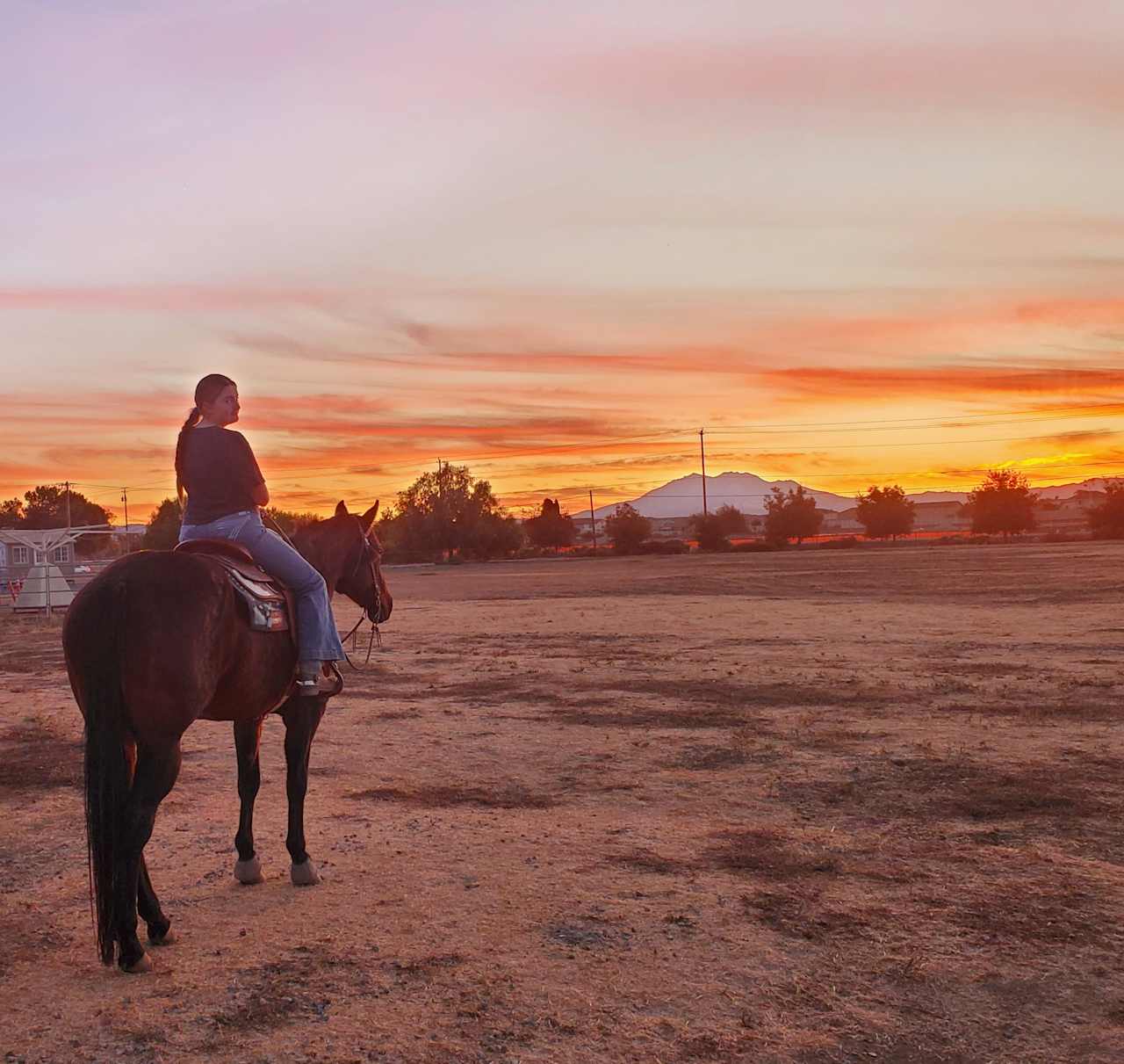 Rural Brentwood Delta Horse Farm