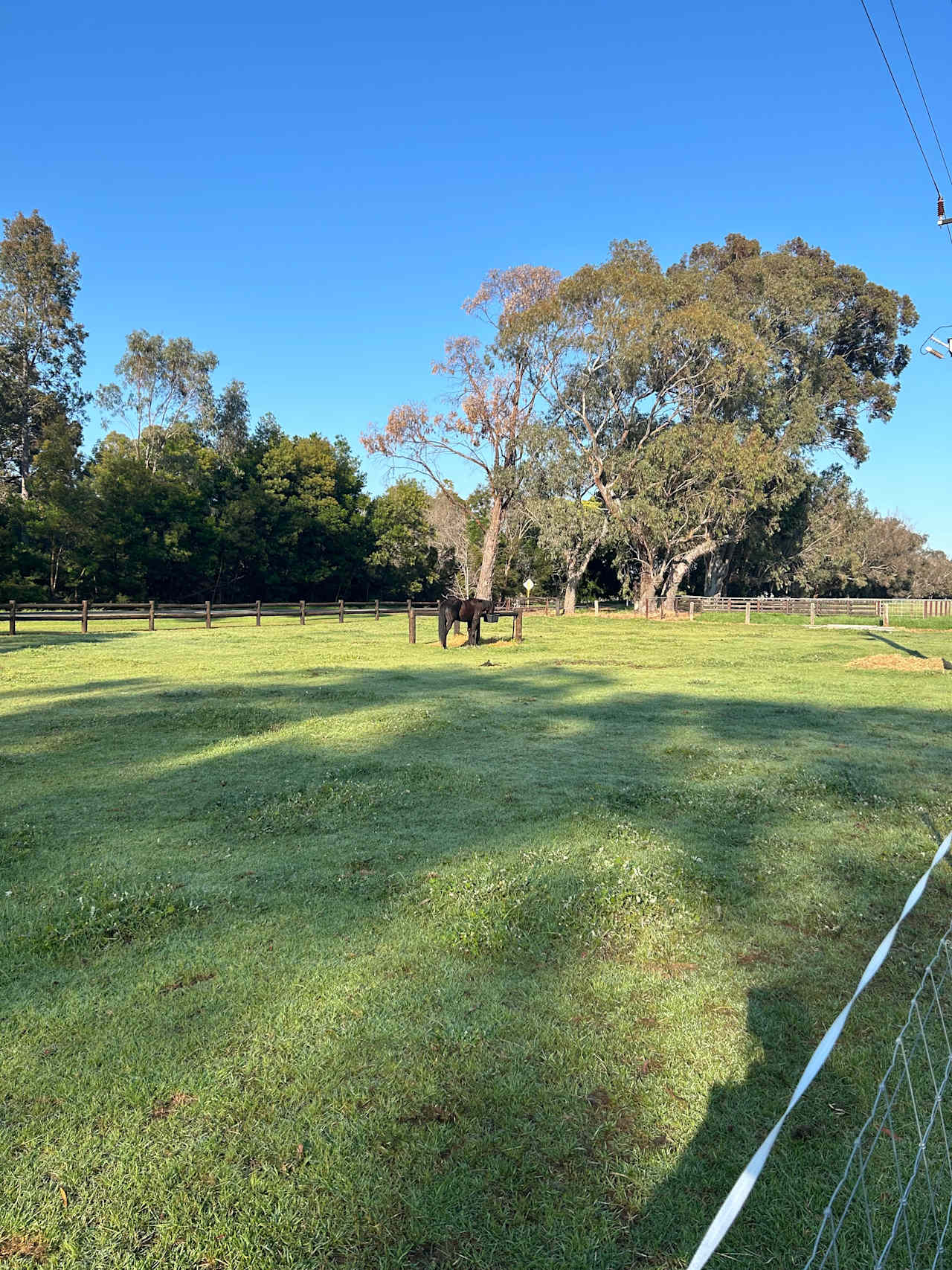 Samson Brook Camping