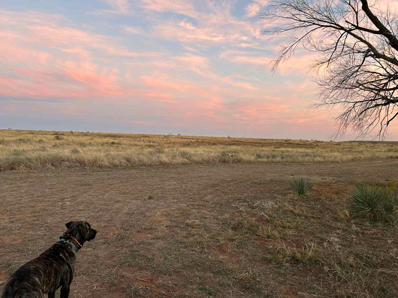 Remote Lone Mound Ranch