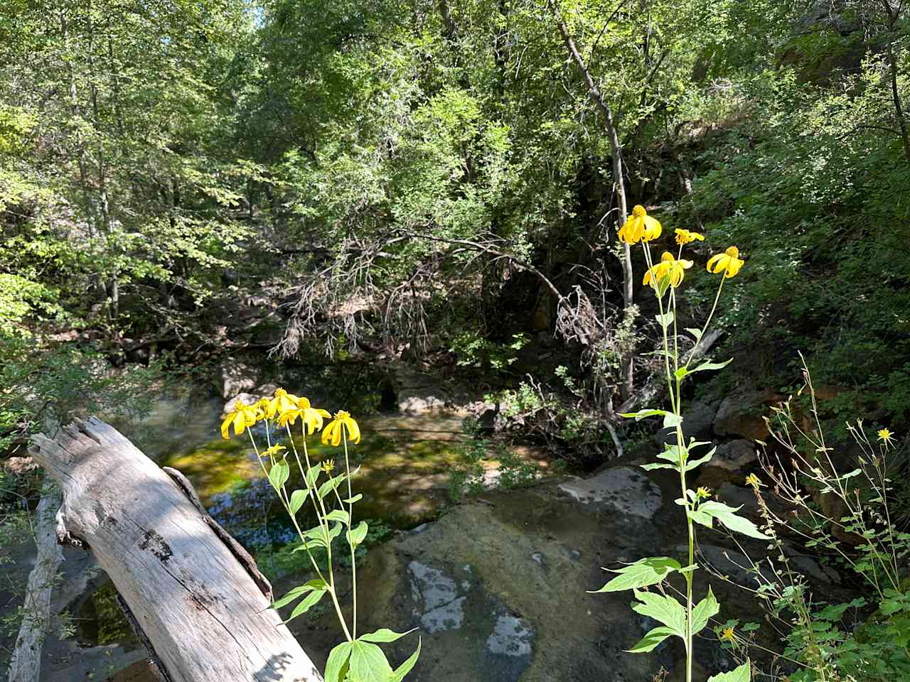 Ash Creek Canyon Camp Ground