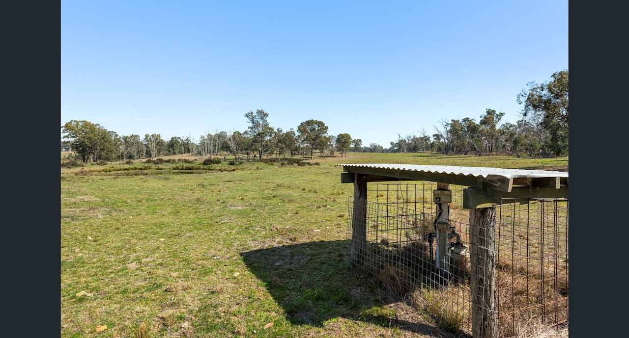 Goldfields-Thanes Creek