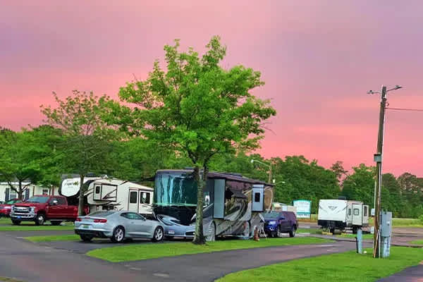 Mr. D's RV Park