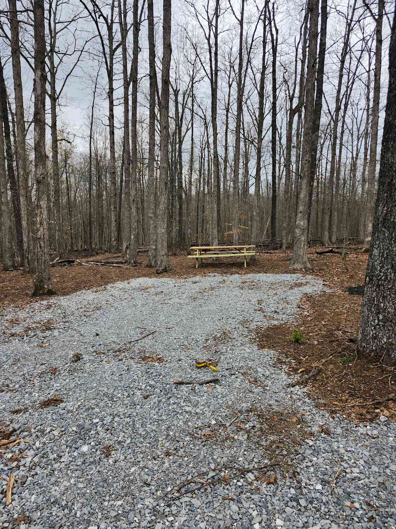 Secluded Camp near Buffalo River