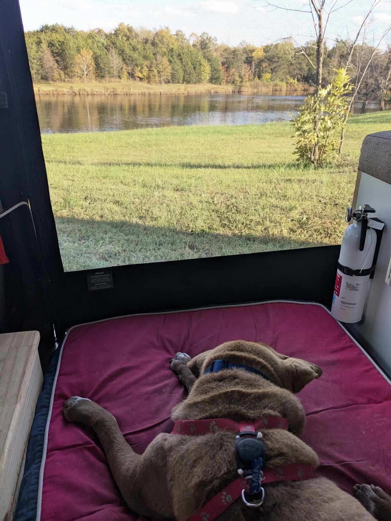 By the water
