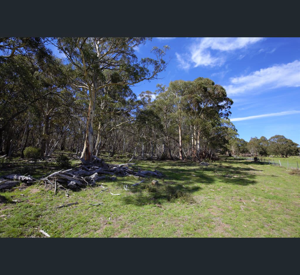 The Wombat Farm