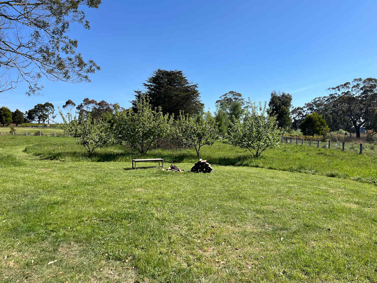 Lakeside or Orchard Paddock Camping