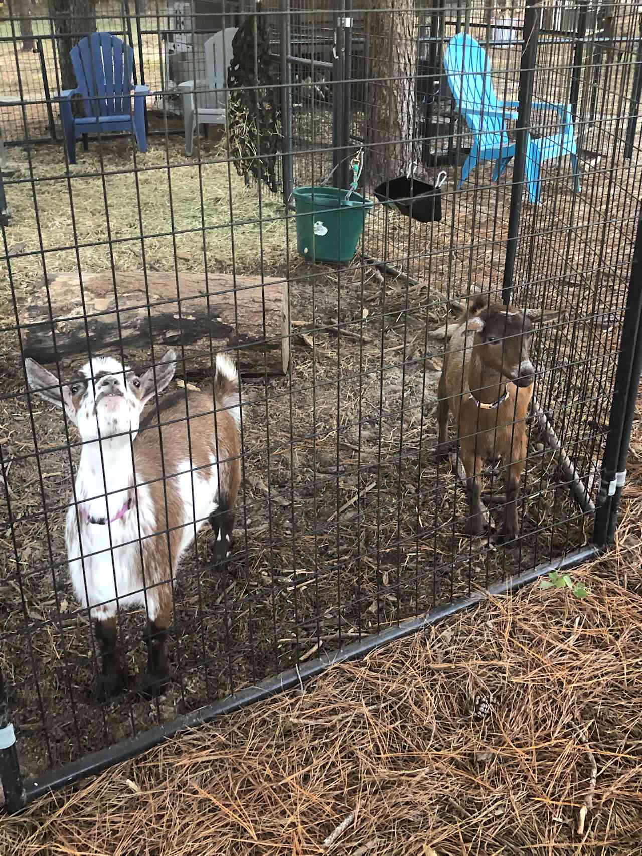 Idlewild Farm Stays