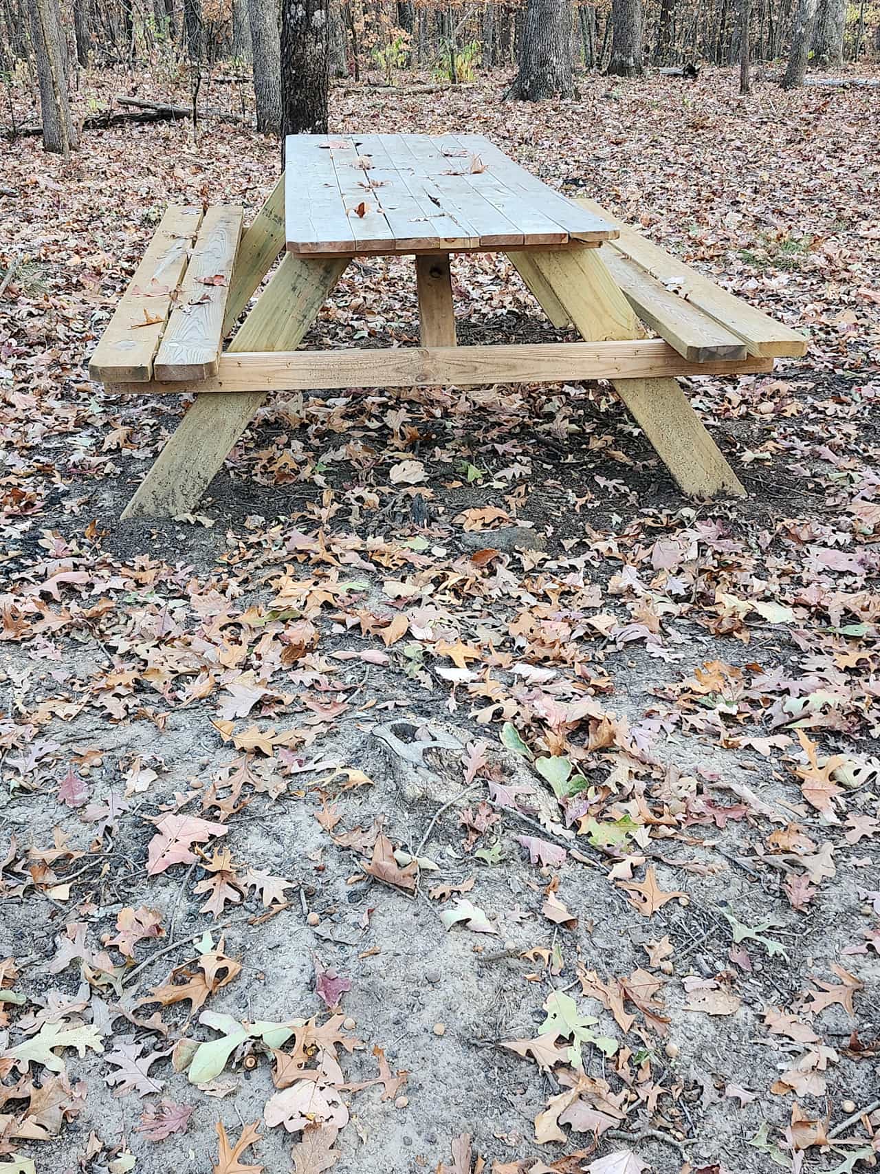 Secluded Camp near Buffalo River