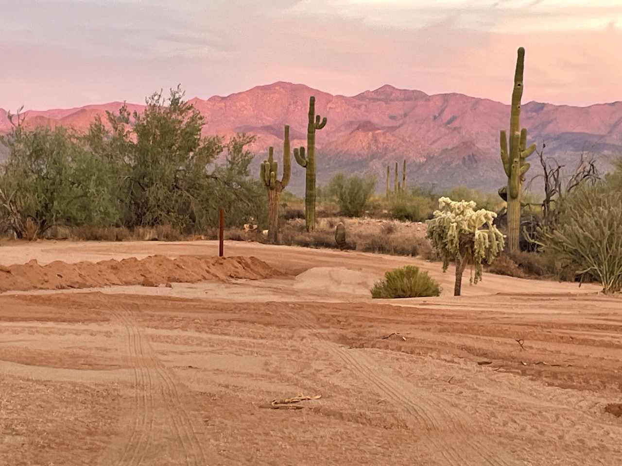 Lone Cholla Ranch