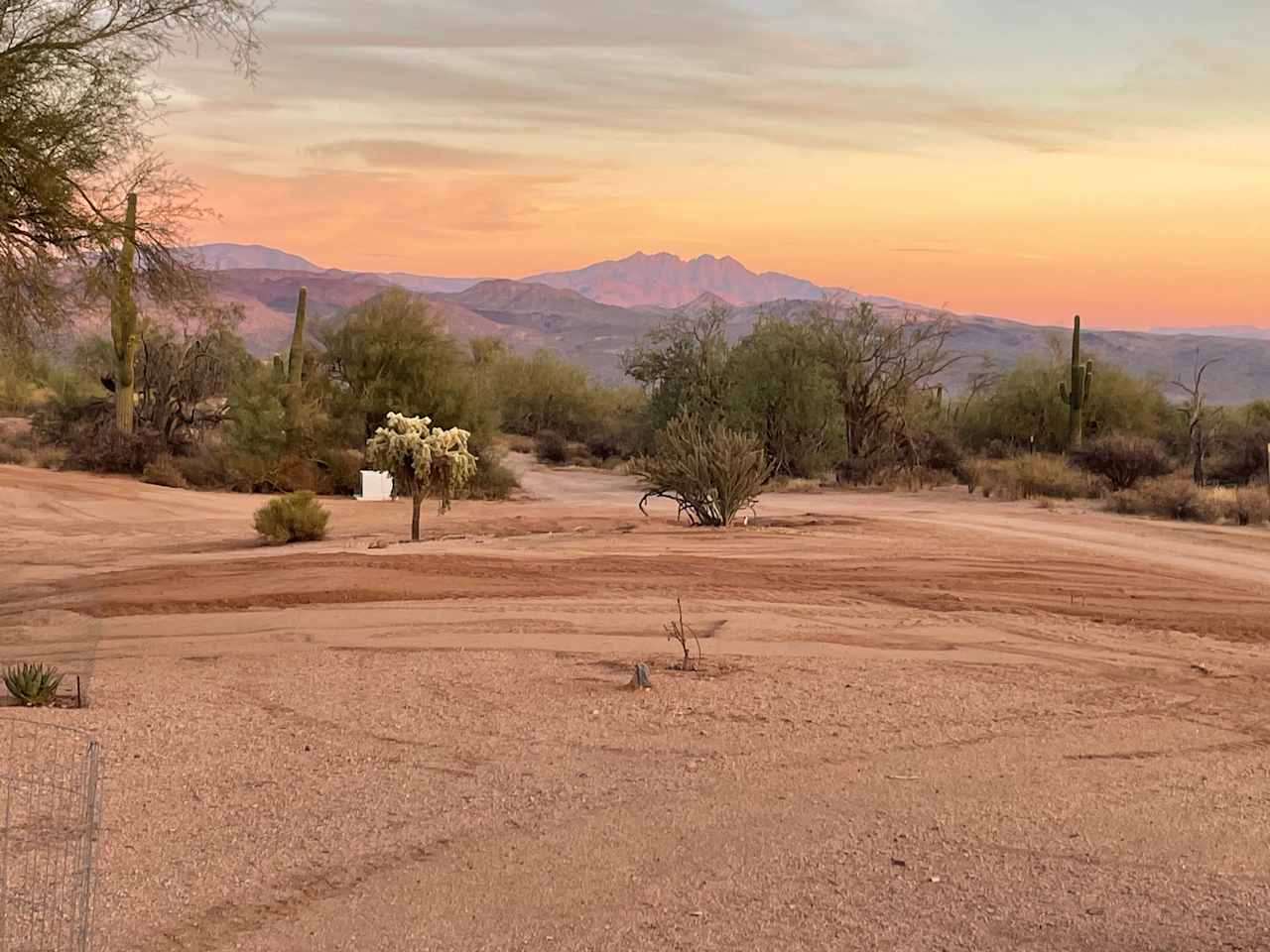 Lone Cholla Ranch