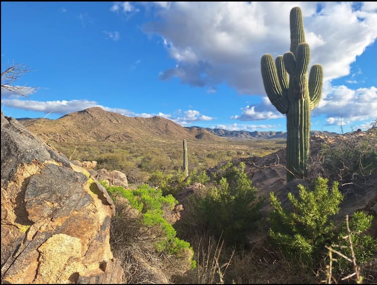 Epic Private 300 Acre Saguaro Park