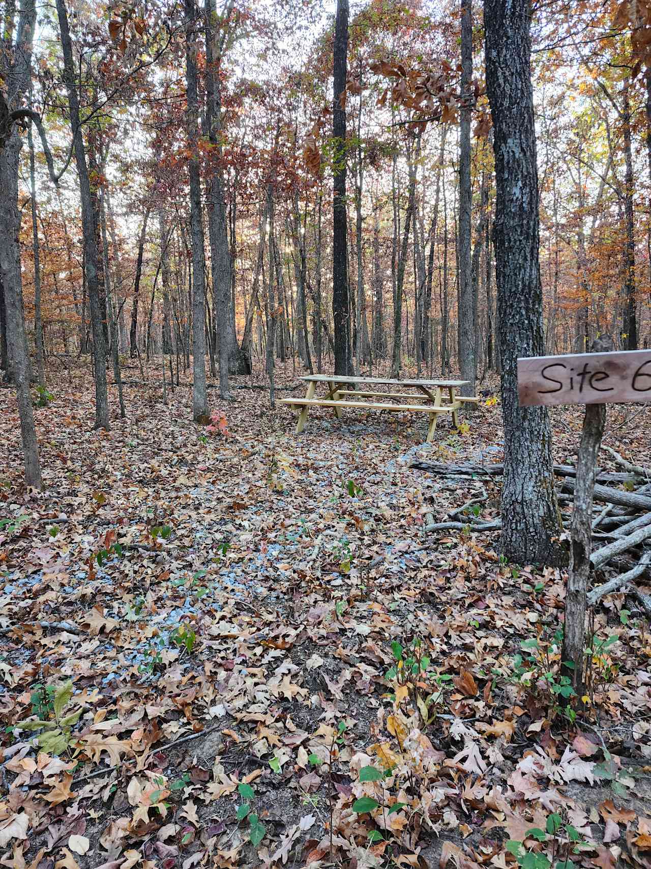 Secluded Camp near Buffalo River