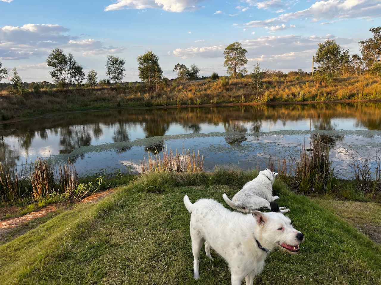 Coominya Farm Stay