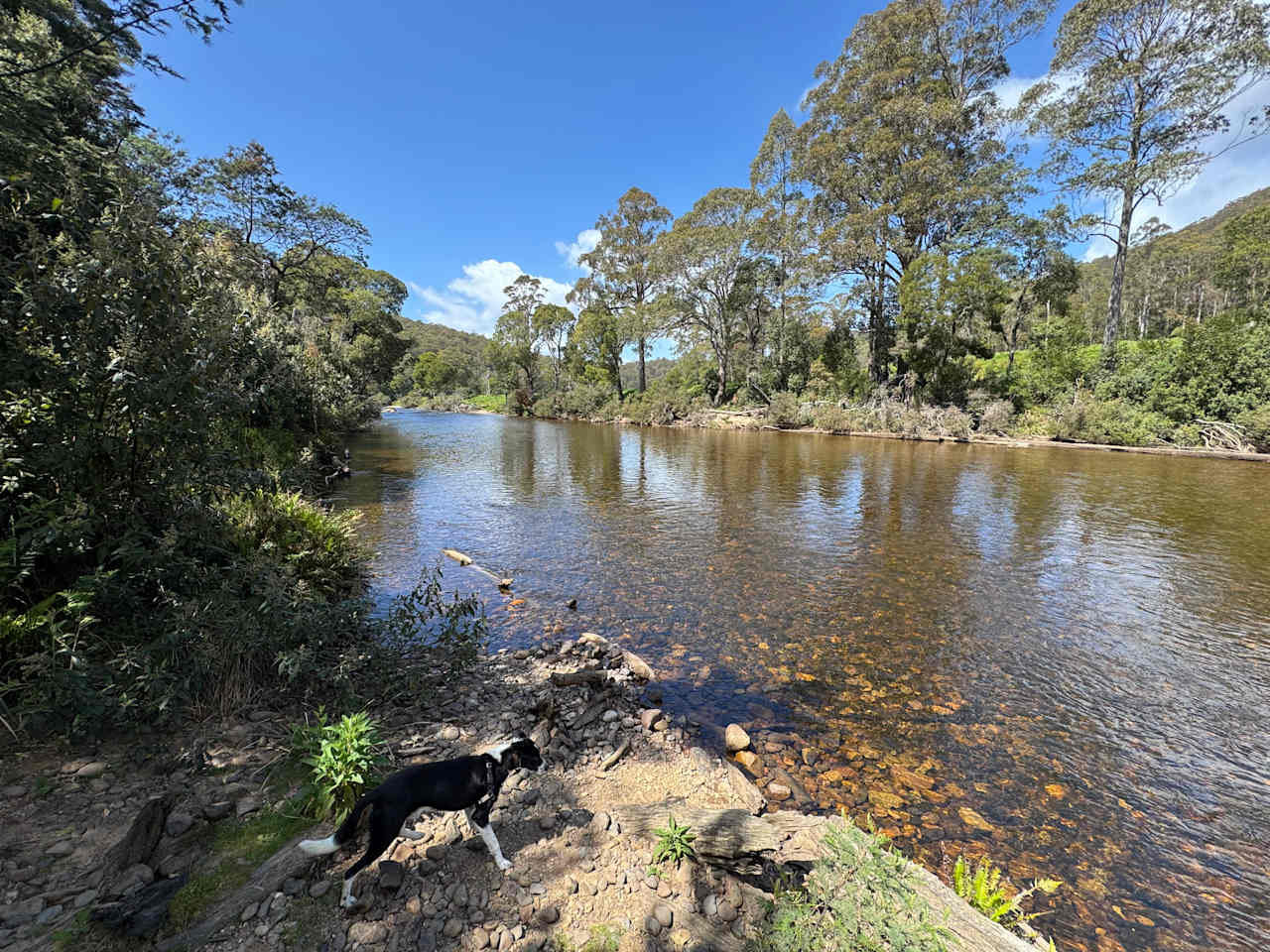 Leven River Camping On Wattle Farm