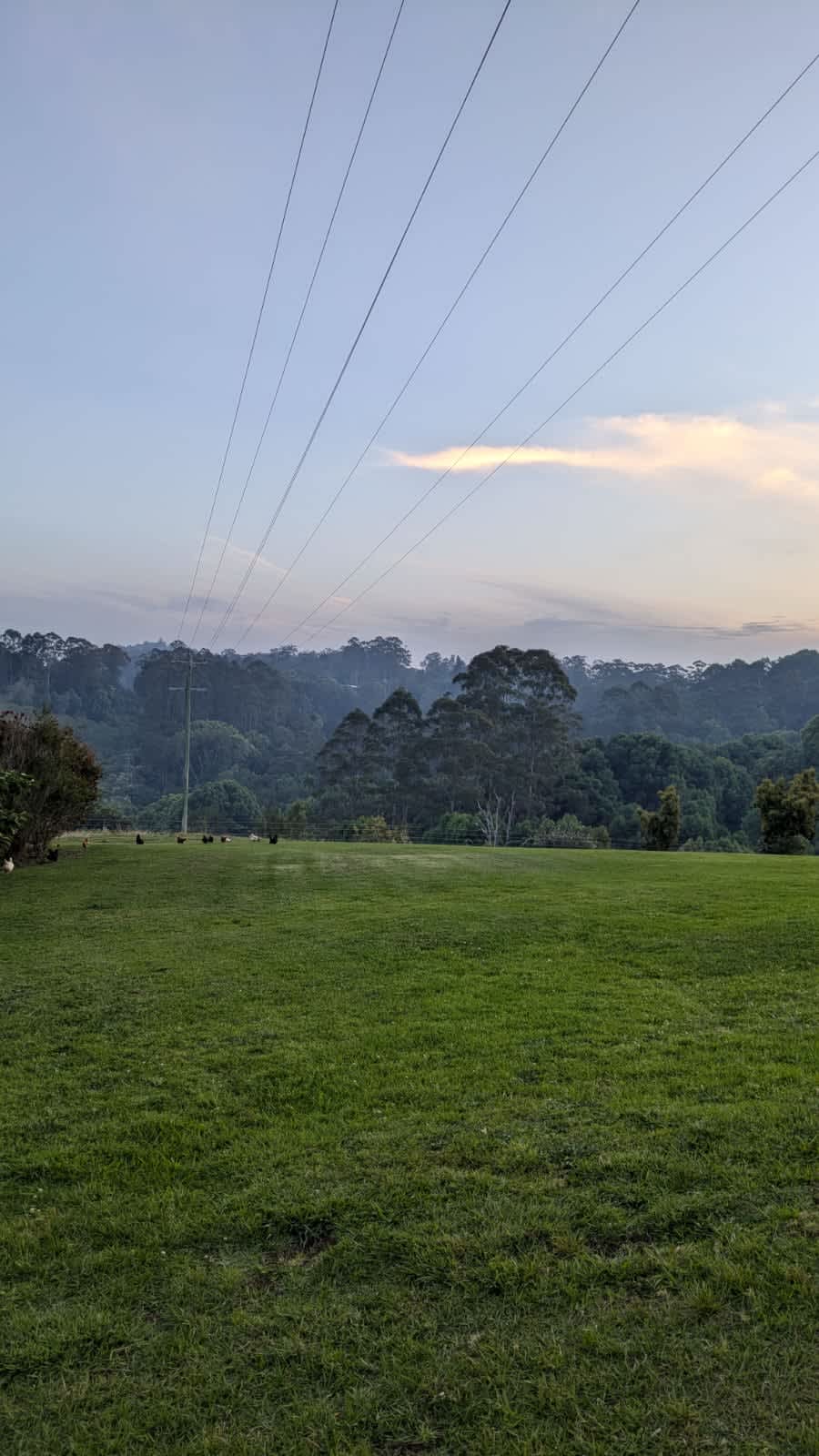 Sol Sanctuary Nimbin