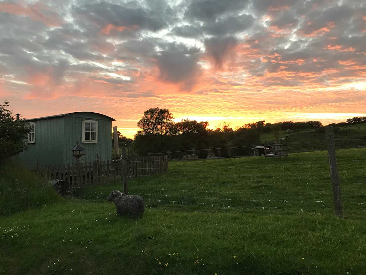 Benton springs shepherd huts