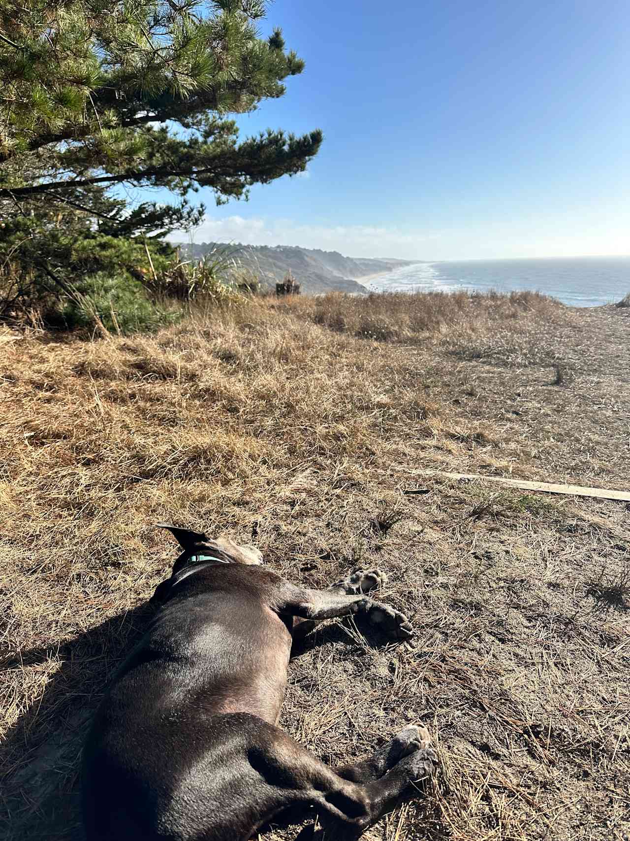 Tunitas Beach Overlook - Airstream