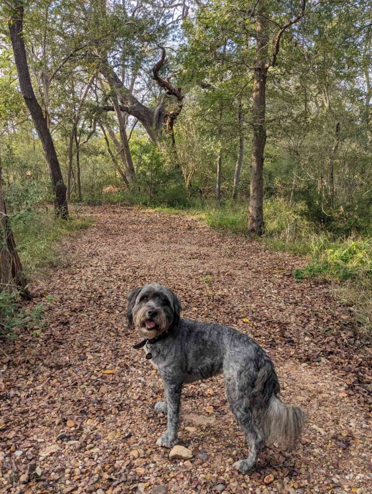Broken Oak River Park