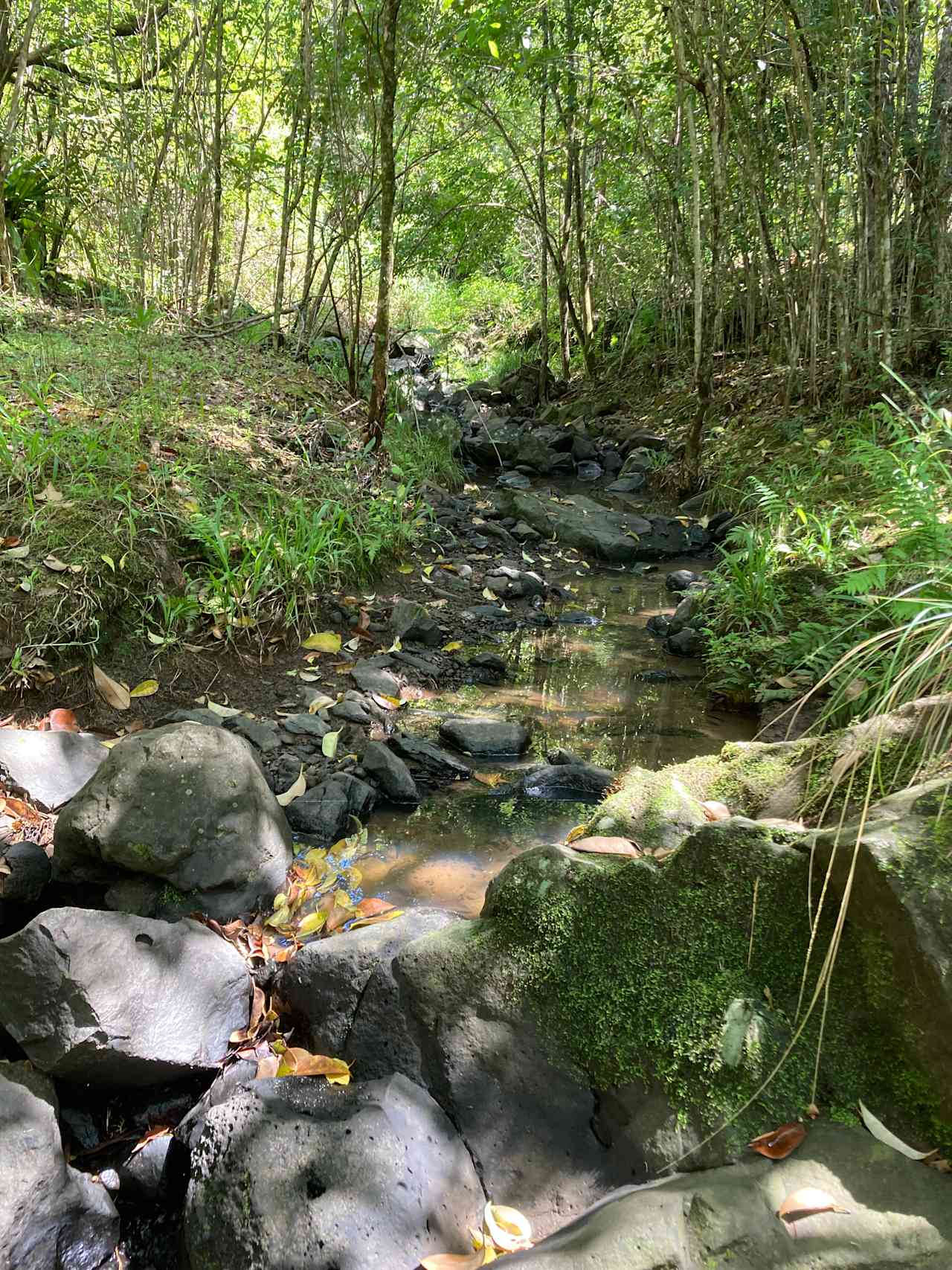 Follow a short track down to the private little picnic area by the creek.