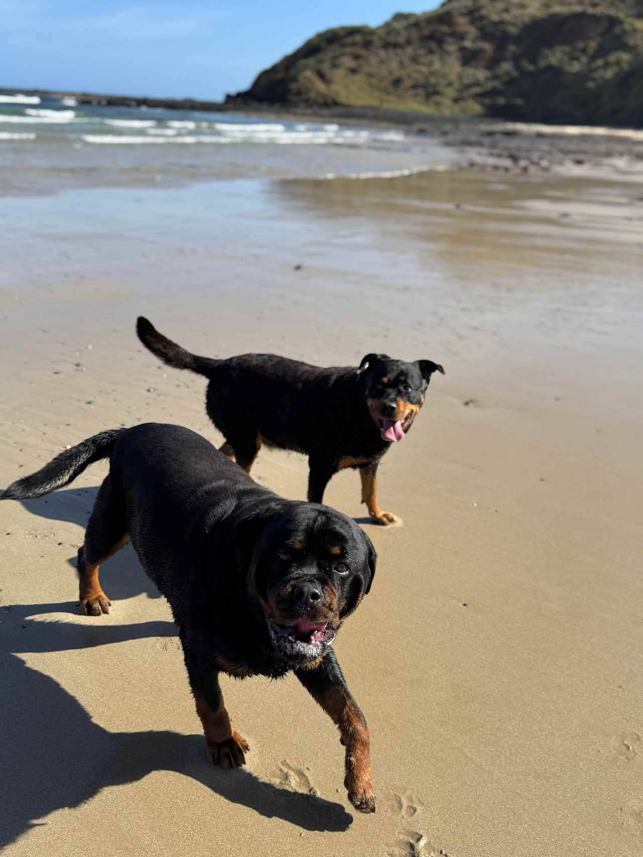 Berry's Beach Farm, Phillip Island