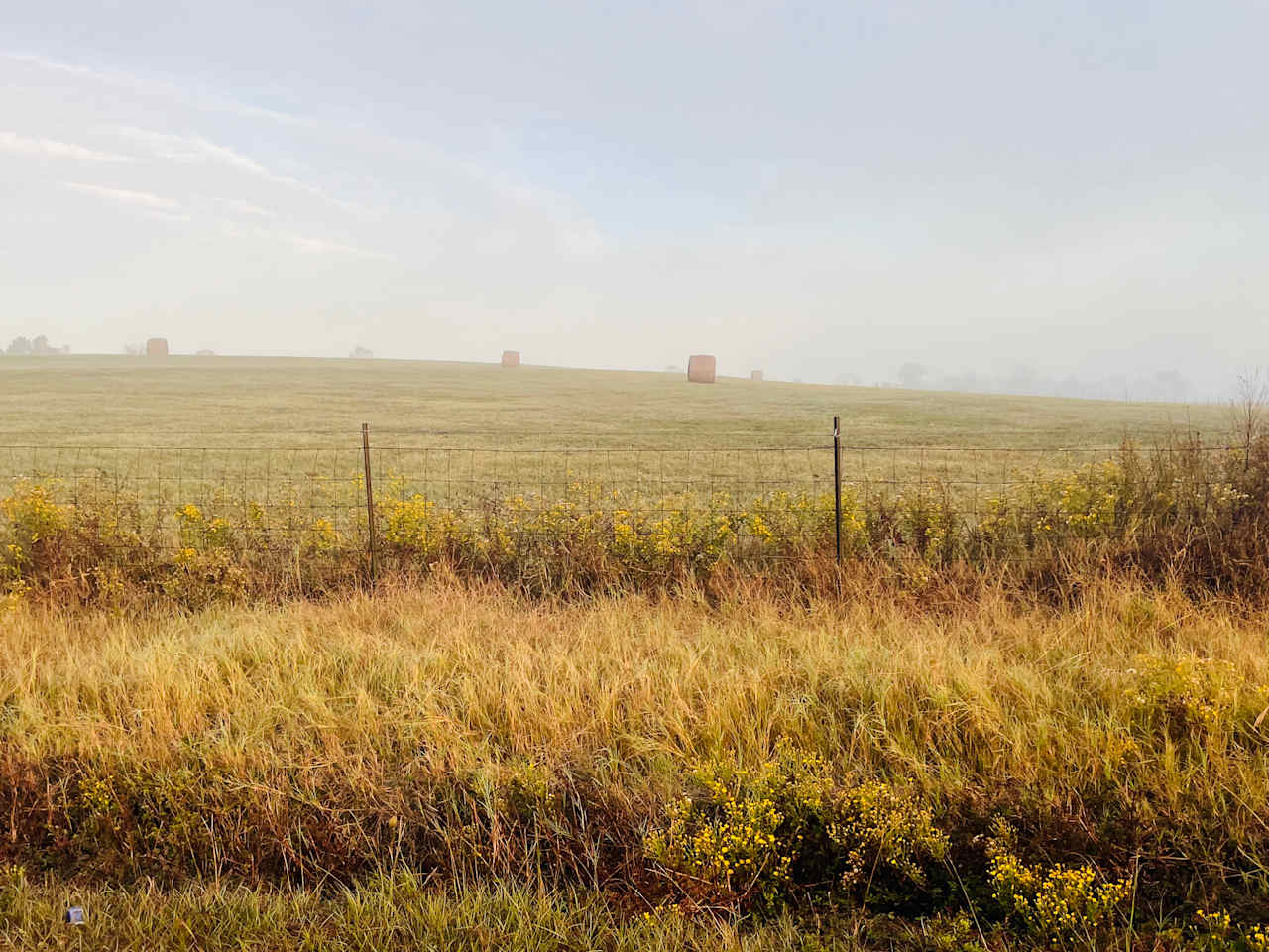 Whenua Farm. Pronouced “Fen-nua”.