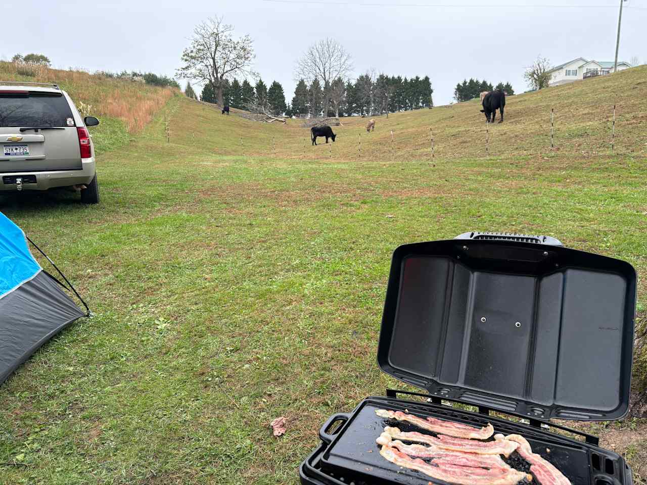 Mountain View Acres
