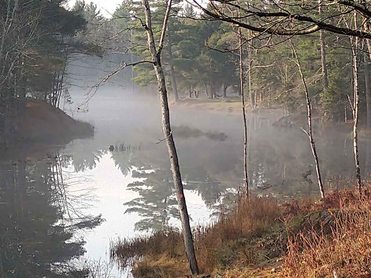 Hemlock Point Campground