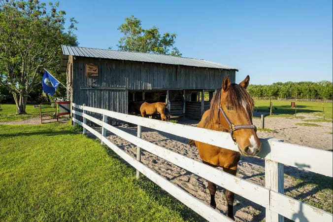 Kokomo Farms