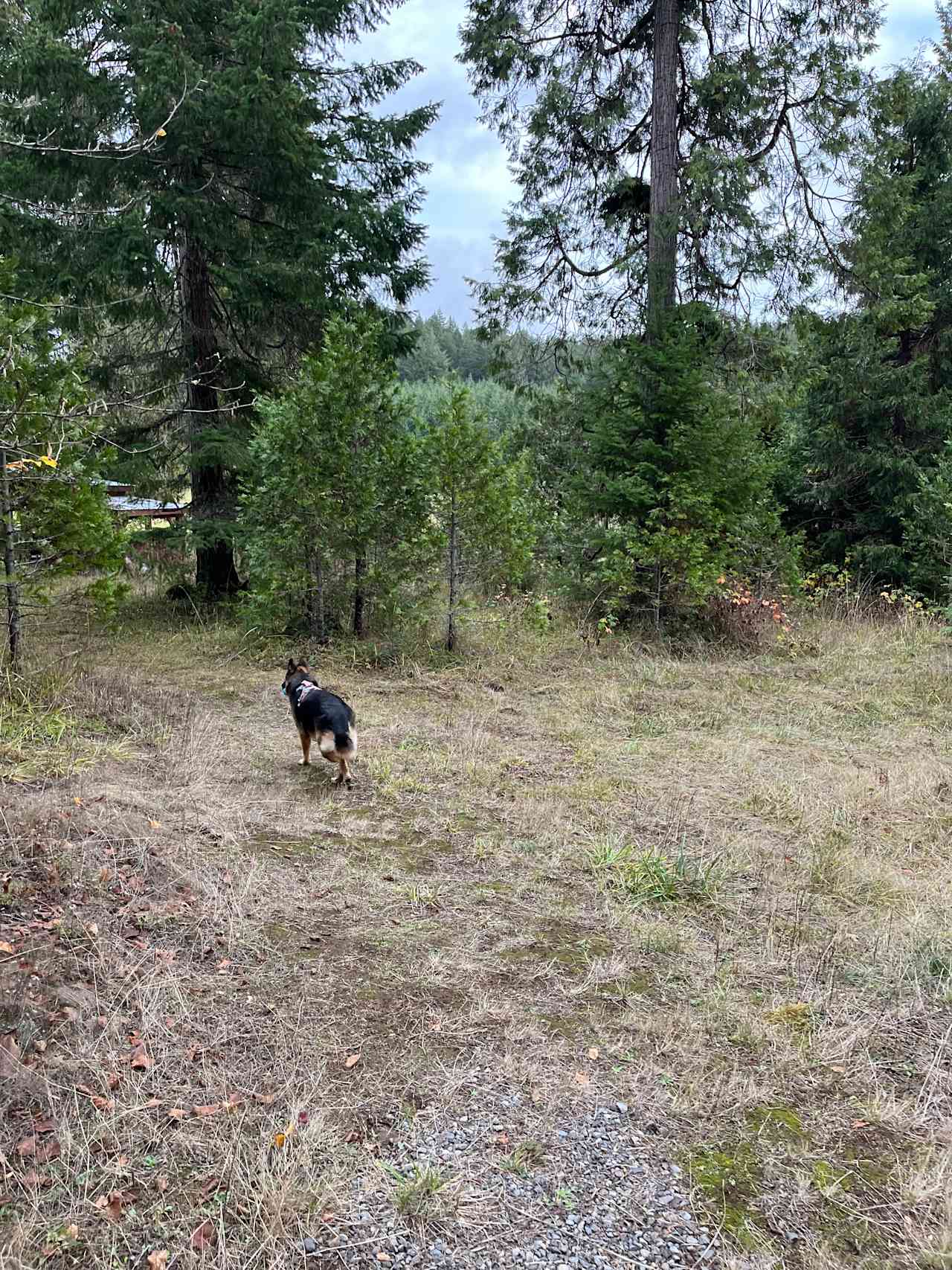 Ruby’s Cabin