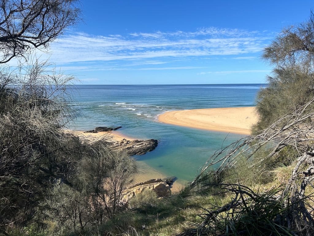 Sapphire Coast Forest Retreat